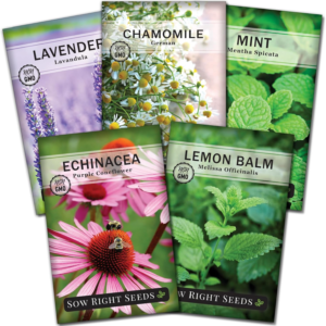 - Herbal Tea Collection - Lemon Balm, Chamomile, Mint, Lavender, Echinacea Herb Seed for Planting; Non-Gmo Heirloom Seed, Instructions to Plant Indoor or Outdoor; Gardening Gift