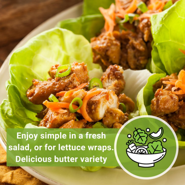 - Buttercrunch Lettuce Seeds for Planting - Non-Gmo Heirloom Packet with Instructions to Plant a Home Vegetable Garden - Outdoors or Hydroponics Indoors - Heat Tolerant Variety (1) - Image 5
