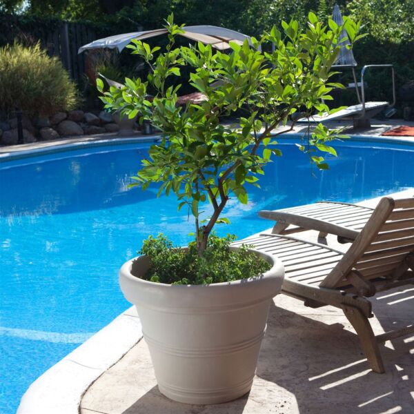 Round 26-inch Outdoor Patio Planter for Small Tree in Weathered Concrete Finish - Image 2