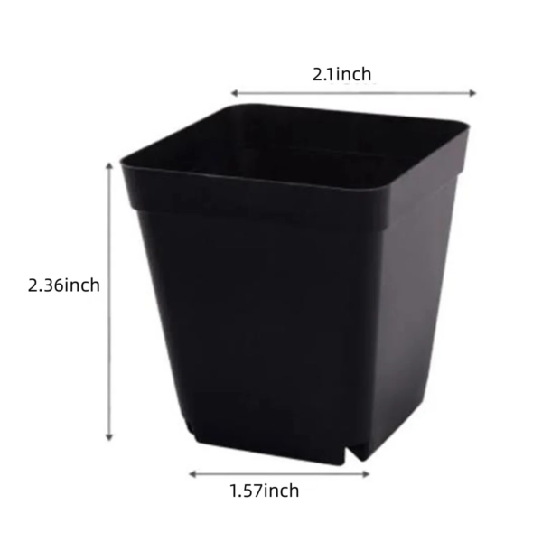 Plastic Nursery Pots, 2'' Plastic Square Flower Seeds Planter Pot, Small Starter Container for Starting Seedlings or Succulents, Black,50Pcs - Image 3