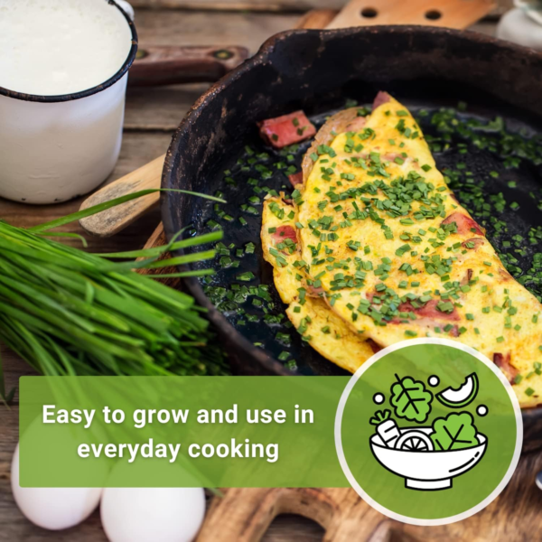 - Common Chives Seed for Planting - Non-Gmo Heirloom Packet with Instructions to Plant and Grow Kitchen Herb Garden Indoor or Outdoor - Mild Onion Flavor (1) - Image 5