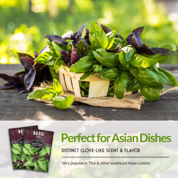 - Thai Basil Seed for Planting - Packet with Instructions to Plant and Grow Asian Basil Indoors or Outdoors in Your Home Vegetable Garden - Non-Gmo Heirloom Variety - 5 Pack - Image 4