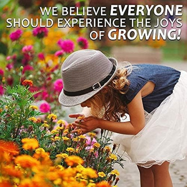 Watermelon Seeds, Crimson Sweet Variety | 60+ Non-Gmo, Heirloom Watermelon Seeds | Premium Home Gardening Melons - Image 7