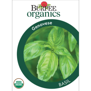 Organic Genovese Basil Herb Seed, 1-Pack