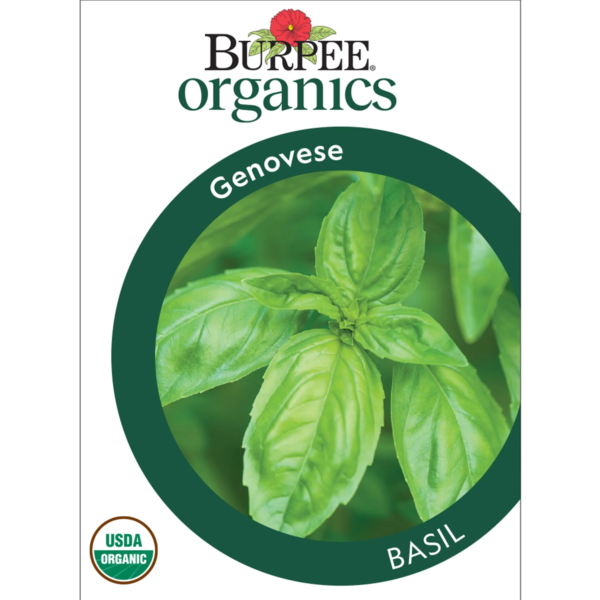 Organic Genovese Basil Herb Seed, 1-Pack