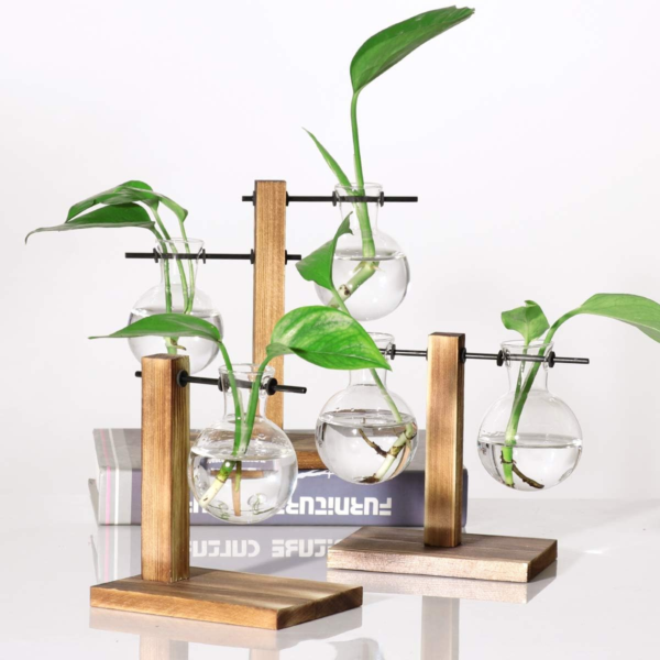 Glass Planter Bulb Vase Desktop Plant Terrarium with Retro Solid Wooden Stand for Propagation Hydroponics Water Plants Home Garden Office Decor - Image 4