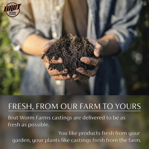 Brut Organic Worm Castings – 30 Lb – Garden'S Elixir for Thriving Blooms & Harvests! - Image 4