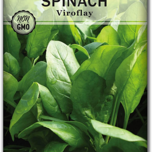 - Viroflay Spinach Seed for Planting - Non-Gmo Heirloom Packet with Instructions to Plant a Vegetable Garden - Grow Leafy Green Nutritious Superfood - Hydroponic Growing Friendly (1)