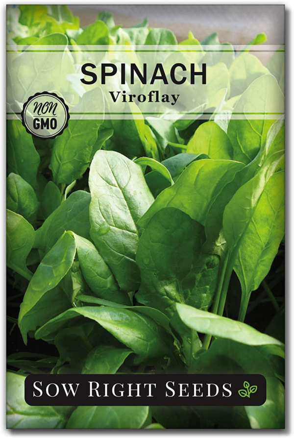 - Viroflay Spinach Seed for Planting - Non-Gmo Heirloom Packet with Instructions to Plant a Vegetable Garden - Grow Leafy Green Nutritious Superfood - Hydroponic Growing Friendly (1)