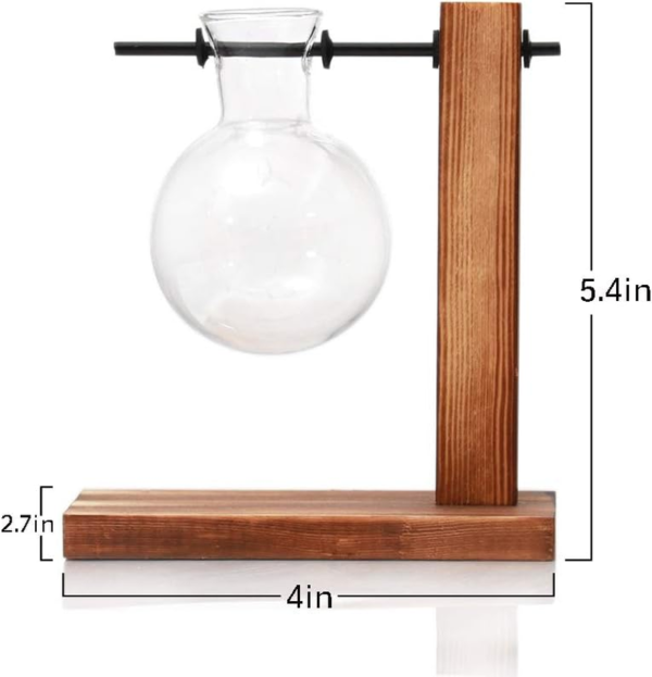 Glass Planter Bulb Vase Desktop Plant Terrarium with Retro Solid Wooden Stand for Propagation Hydroponics Water Plants Home Garden Office Decor - Image 5