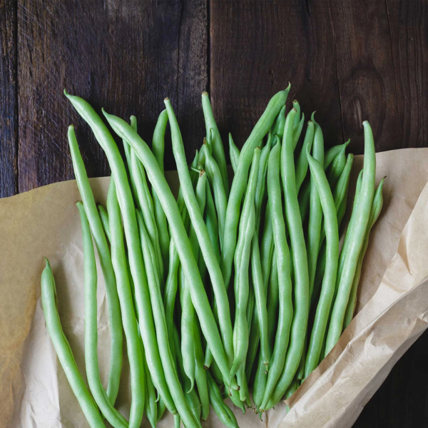 Blue Lake Bush Bean 274 Seeds - 4 Oz - Non-Gmo, Heirloom, Open Pollinated - Vegetable Garden Seeds - Green String Beans - Image 4