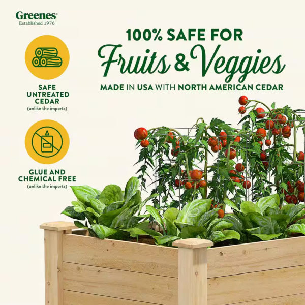 48 In. L X 24 In. W X 31 In. H Original Cedar Elevated Garden Bed - Image 4