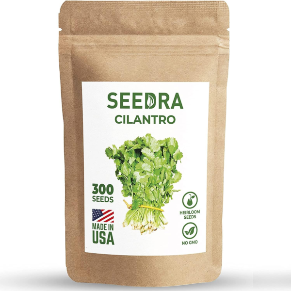 300+ Cilantro Seeds for Indoor, Outdoor and Hydroponic Planting, Non GMO Heirloom Seeds for Home Garden - 1 Pack