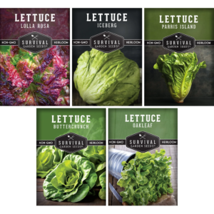 5 Packs Lettuce Collection - Buttercrunch Oakleaf Lolla Rosa Parris Island Iceberg - Non-Gmo Heirloom Full Sun Seeds