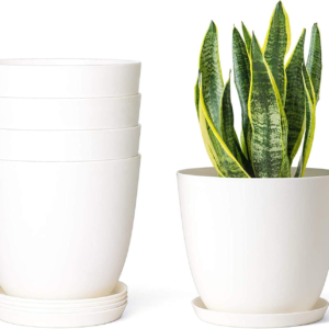 6.5" Plastic Planters with Saucers, Indoor Set of 5 Flower Plant Pots with Drainage for All House Plants, Herbs, Foliage Plant, and Seeding Nursery, Cream White
