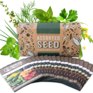 Culinary Herb Seeds Garden Collection | Premium Assortment | 18 Non-Gmo Seed Packets: Savory, Mint, Anise, Fennel, Cilantro, Sage, Rosemary, Thyme, Arugula, & More