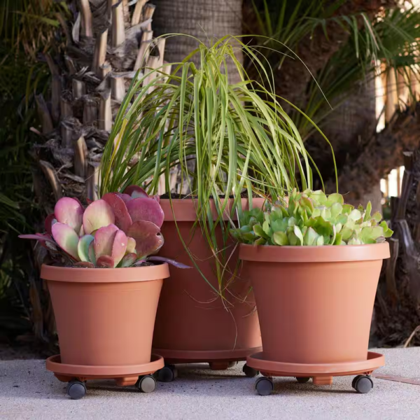 Caddy round 12 In. Terra Cotta Plastic Plant Stand Caddy with Wheels - Image 2
