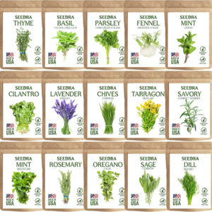15 Herb Seeds Variety Pack - 4500+ Non-Gmo Heirloom Seeds for Planting Hydroponic Indoor or Outdoor Home Garden - Lavender, Parsley, Cilantro, Basil, Thyme, Mint, Rosemary, Dill & More
