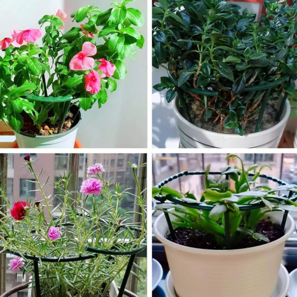 Plastic Plant Support Pile Frame Greenhouse Arrangement Semicircle Fixed Rod Indoor Flower Plant Vine Climbing Bracket - Image 5