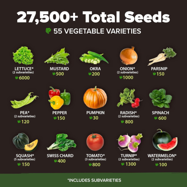 55 Vegetable Seeds Pack | Spring, Fall, Winter Heirloom Vegetables | Non-Gmo Garden Survival Seed Vault - Prepper Gear Supplies | Gifts for Men Women Gardeners - Image 4