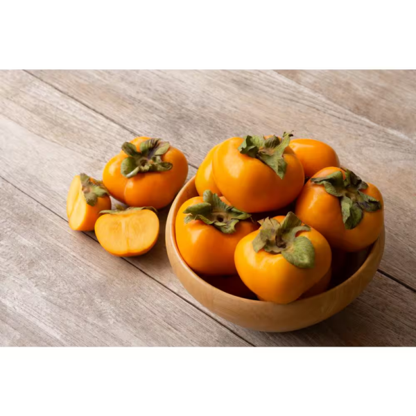 3 Ft. Fuyu Persimmon Tree with Tasting Notes of Cinnamon and Brown Sugar and No Astringency - Image 2