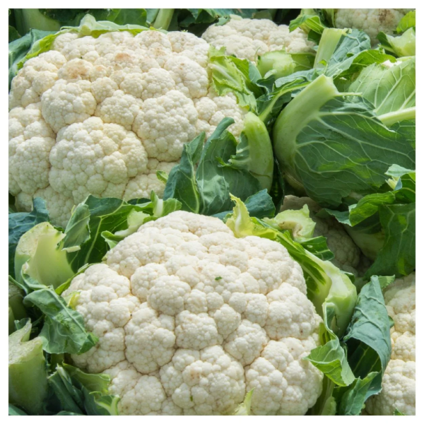 500 Snowball Self Blanching Cauliflower Seeds, Open Pollinated - Image 4