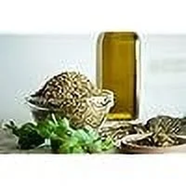 Greek Oregano Herb Seeds, 2500 Heirloom Seeds per Packet, Non GMO Seeds - Image 5