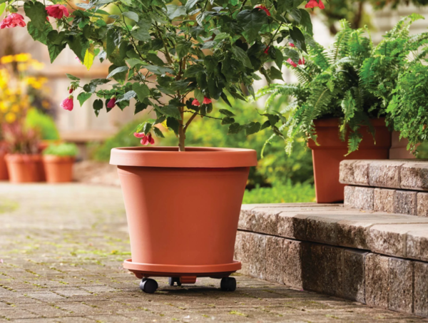 Rolling Plant Stand Caddie Saucer 12" Terra Cotta - Image 4
