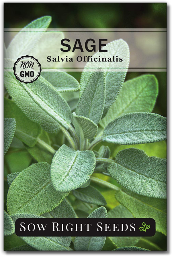 - Sage Seeds for Planting - Non-Gmo Heirloom Packet with Instructions to Plant and Grow Kitchen Herb Garden - Indoor or Outdoor - Great for Pollinators - Culinary Seasoning (1)