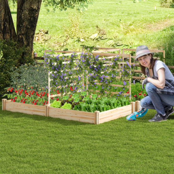 Raised Garden Bed with 2 Planter Boxes and 3 Trellis - Image 2