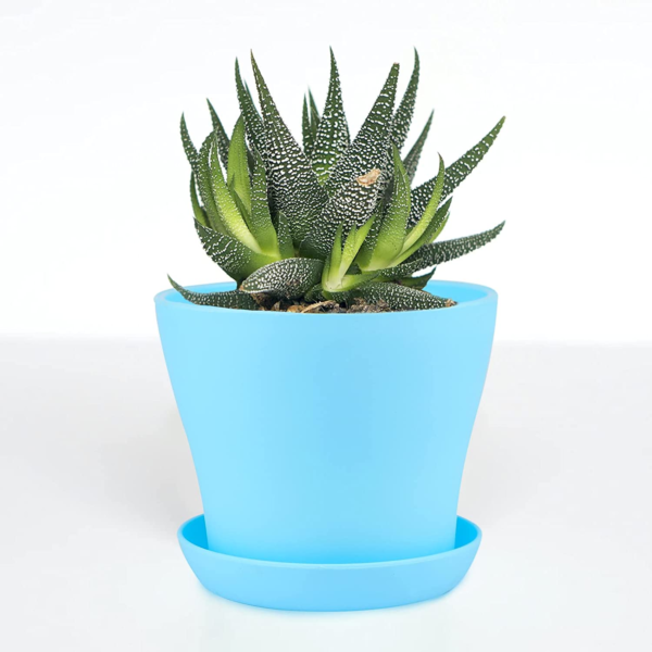 8 Pcs 4" Plastic Plant Flower Seedlings Nursery Pot/Pots Planter Colorful Flower Plant Container Seed Starting Pots with Pallet and Drainage Holes for Home Garden Flowers Plants,8 Colors - Image 7