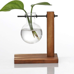 Glass Planter Bulb Vase Desktop Plant Terrarium with Retro Solid Wooden Stand for Propagation Hydroponics Water Plants Home Garden Office Decor