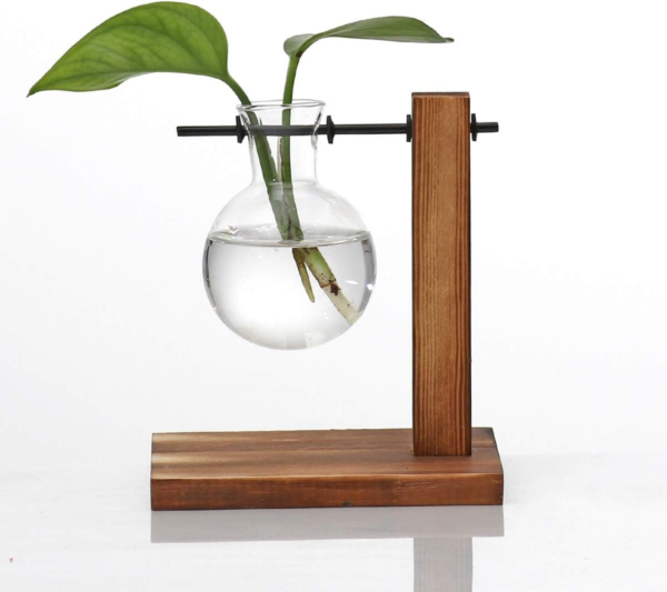 Glass Planter Bulb Vase Desktop Plant Terrarium with Retro Solid Wooden Stand for Propagation Hydroponics Water Plants Home Garden Office Decor