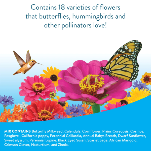 Hummingbird & Butterfly Mix Wildflower Seeds – Non-Gmo, Attracts Pollinators, Annual & Perennial Flowers - Image 3