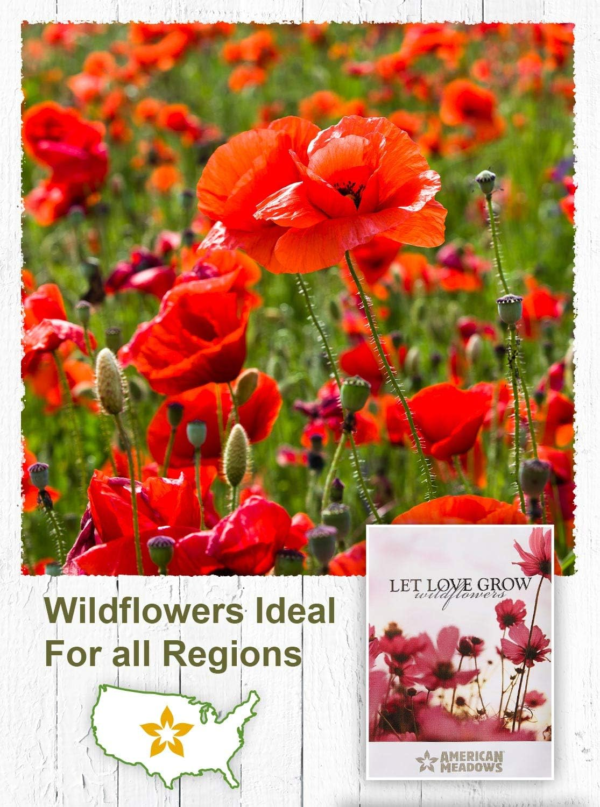 Wildflower Seed Packets ''Let Love Grow'' Party Favors (Pack of 20) - Wildflower Seed Mix, Party Favors for Weddings, Valentine'S Day, Anniversaries, Thank You - Image 5