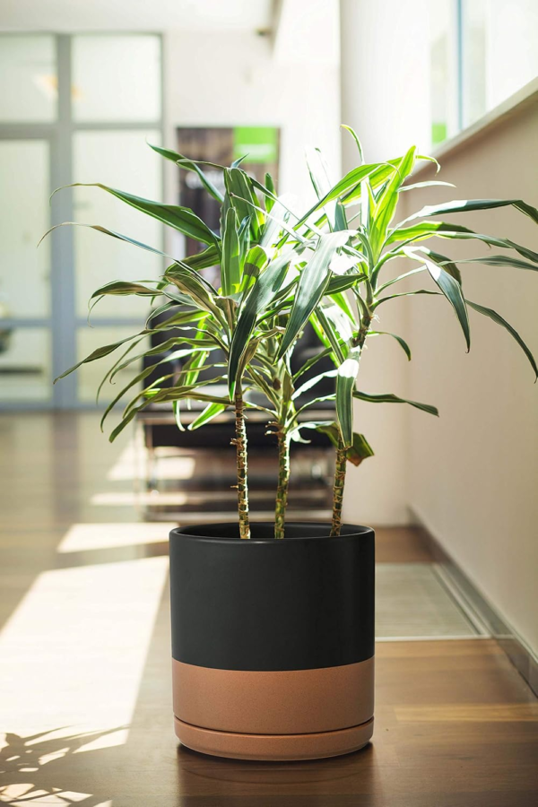 8 Inch Ceramic Planter Pot with Drainage Hole and Saucer, Indoor Cylinder round Planter Pot, Black/Speckled Tan, 94-O-D-7 - Image 7
