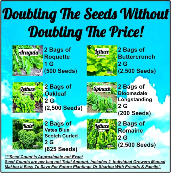 Vegetable & Lettuce Seeds for Planting Your Outdoor/Indoor Survival Garden. 17700 Seeds, 2 Free Grower Guides & 12 Clear Seed Pack. Buttercrunch, Romaine, Oakleaf, Arugula, Kale, Spinach - Image 4