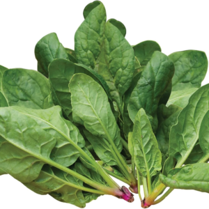 Space Hybrid Spinach Seeds 300 Seeds