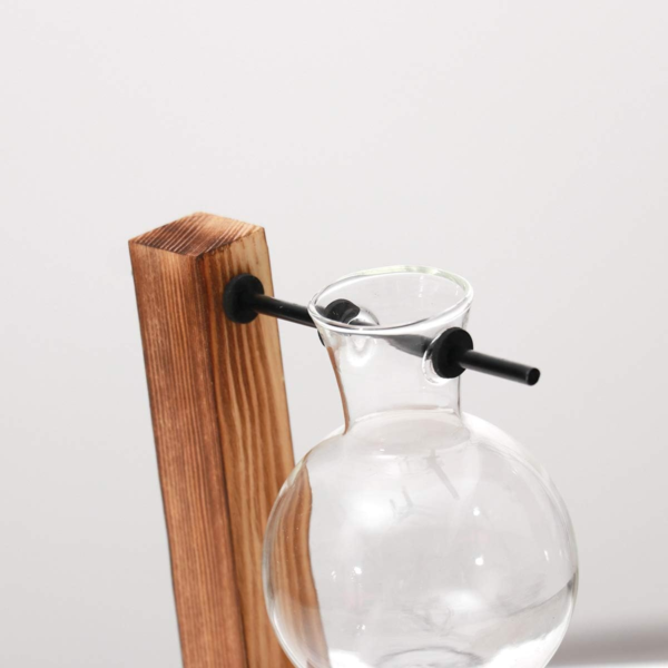 Glass Planter Bulb Vase Desktop Plant Terrarium with Retro Solid Wooden Stand for Propagation Hydroponics Water Plants Home Garden Office Decor - Image 8