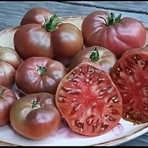 Tomato Cherokee Purple Great Garden Heirloom Vegetable Seeds by  50 Seeds