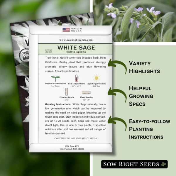 - White Sage Seed for Planting - Non-Gmo Heirloom Packet with Instructions for Planting and Growing a Home Herb Garden - Indoors or Outdoors - Make Your Own Herbal Incense (1) - Image 2