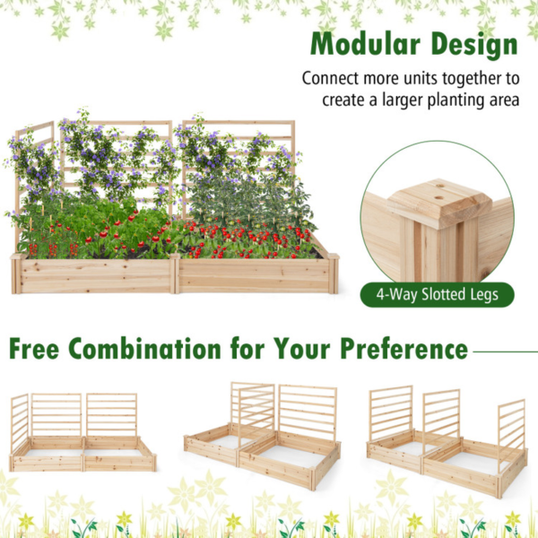 Raised Garden Bed with 2 Planter Boxes and 3 Trellis - Image 10