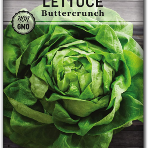 - Buttercrunch Lettuce Seeds for Planting - Non-Gmo Heirloom Packet with Instructions to Plant a Home Vegetable Garden - Outdoors or Hydroponics Indoors - Heat Tolerant Variety (1)