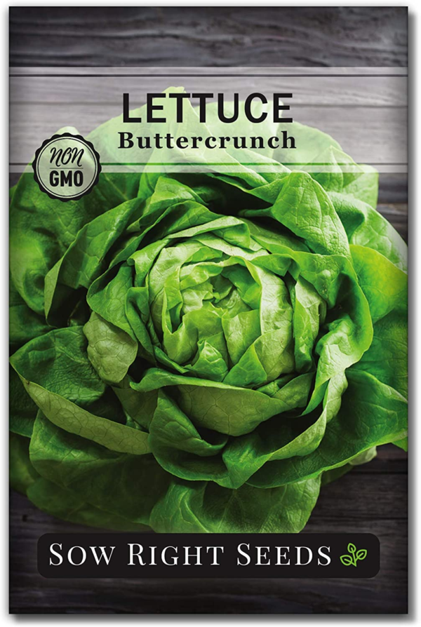 - Buttercrunch Lettuce Seeds for Planting - Non-Gmo Heirloom Packet with Instructions to Plant a Home Vegetable Garden - Outdoors or Hydroponics Indoors - Heat Tolerant Variety (1)