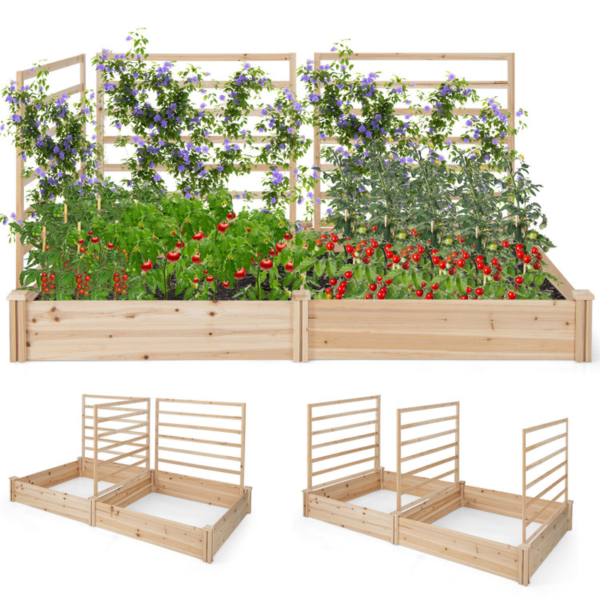 Raised Garden Bed with 2 Planter Boxes and 3 Trellis - Image 4