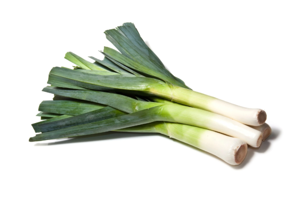 800 * Seeds AMERICAN FLAG LEEK (Large Leek) Allium Porrum Vegetable Seeds