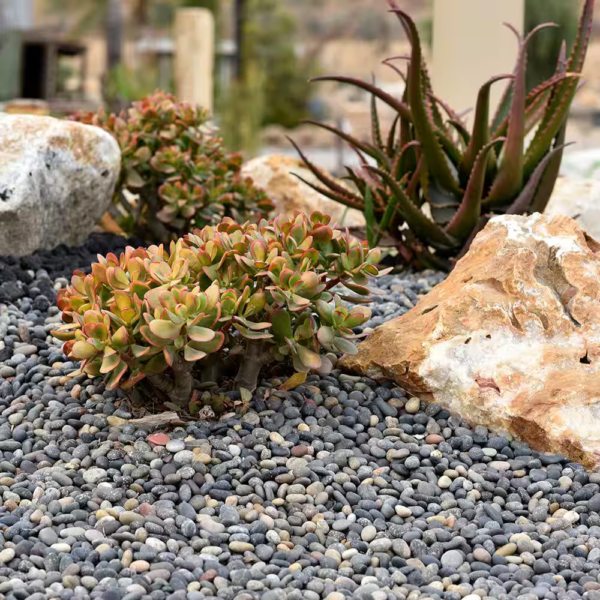 .25 Cu. Ft. 2 In. to 3 In. Mixed Mexican Beach Pebbles Smooth round Rock for Gardens, Landscapes and Ponds - Image 3
