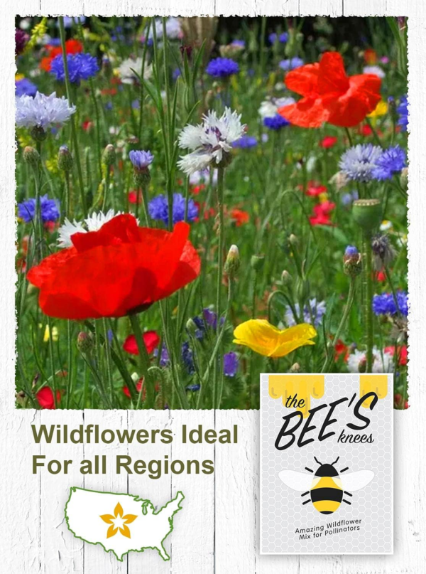 Wildflower Seed Packets ''The Bees Knees'' Favors (Pack of 20) - Pollinator Wildflower Seed Mix to Attract Hummingbirds, Bees, and Butterflies, Party Favors for Any Occasion - Image 5