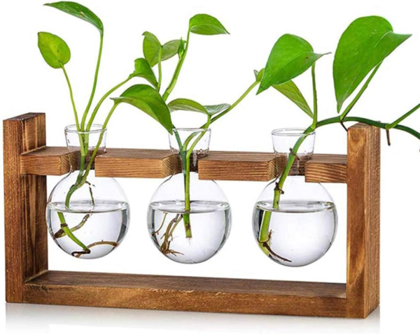 Plant Propagation Station Glass Terrarium Planter Flower Vase with Retro Solid Wooden Stand for Home Kitchen Indoor Garden Wedding Desktop Decor, 3 Bulb Vase