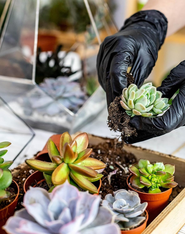 25Pcs Mini Garden Hand Transplanting Succulent Tools Set, 39.4" Thickened Repotting Mat & Plant Tag, Miniature Planting Indoor Fairy Care, Potting, Cactus, Houseplant Bonsai Tool Kit (Pink) - Image 3